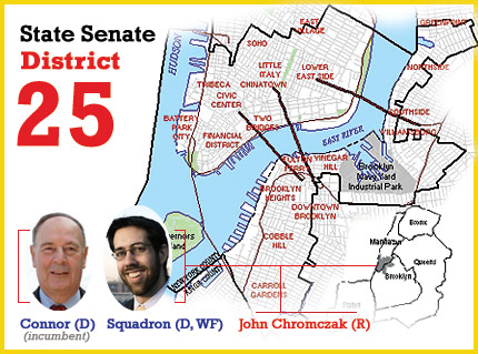 new york senate district 25 Martin Connor and Daniel Squadron