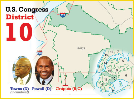 ny congressional district 10