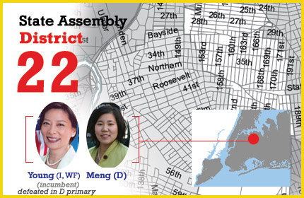 New York State Assembly District 22