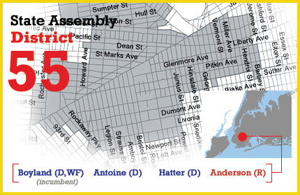 ny state assembly district 55