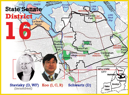 New York State Senate District 16