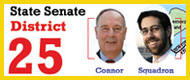 NY State Senate Dist 25