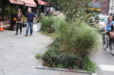 Bioswales like this one on Seventh Avenue in Manhattan absorb water during storms.