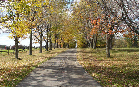 knox farm state park