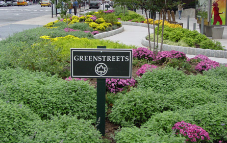 green infrastructure