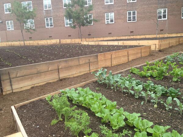 urban farm via nycfood