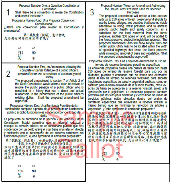 sample ballot