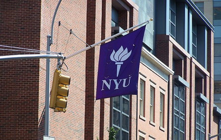 nyu lg