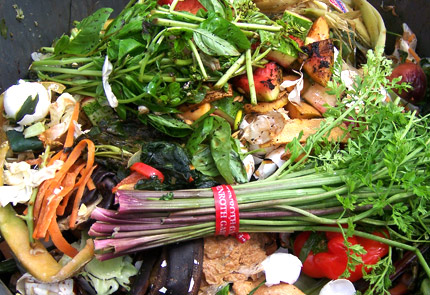 Compost Goodies