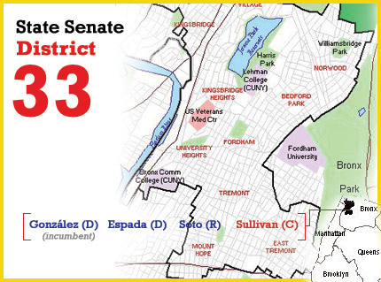 ny state senate district 33