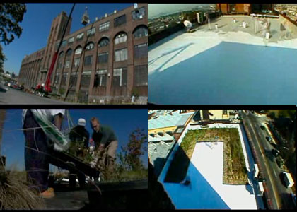 sustainable south bronx