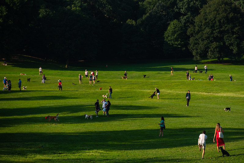 Prospect Park Brooklyn greenery