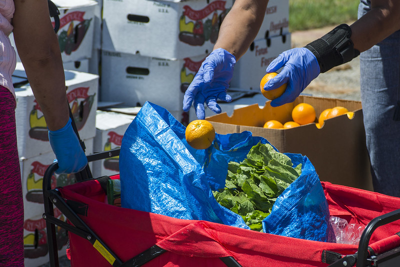 fresh free food nyc