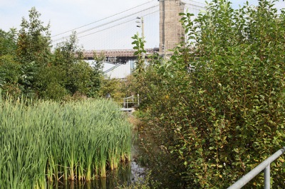 Brooklyn-Bridge-Park-Climate