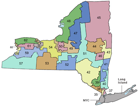Republicans Appeal New York Redistricting Decision That Could Give
