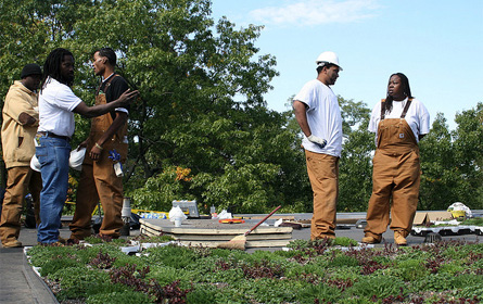 greenroof