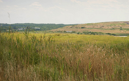 freshkills