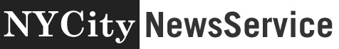 NYCityNewsService logo