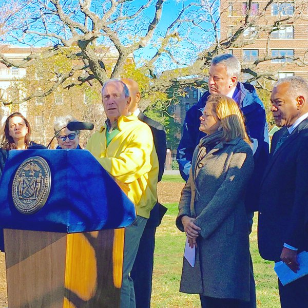 bloomberg tree planting wolfson