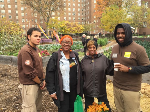 red hook harvest via greencityforce