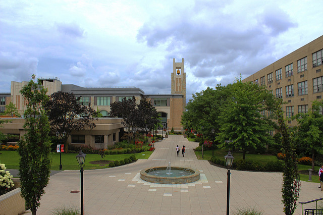 St. John's University