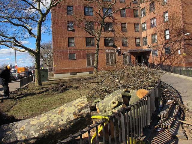 superstorm sandy aftermath