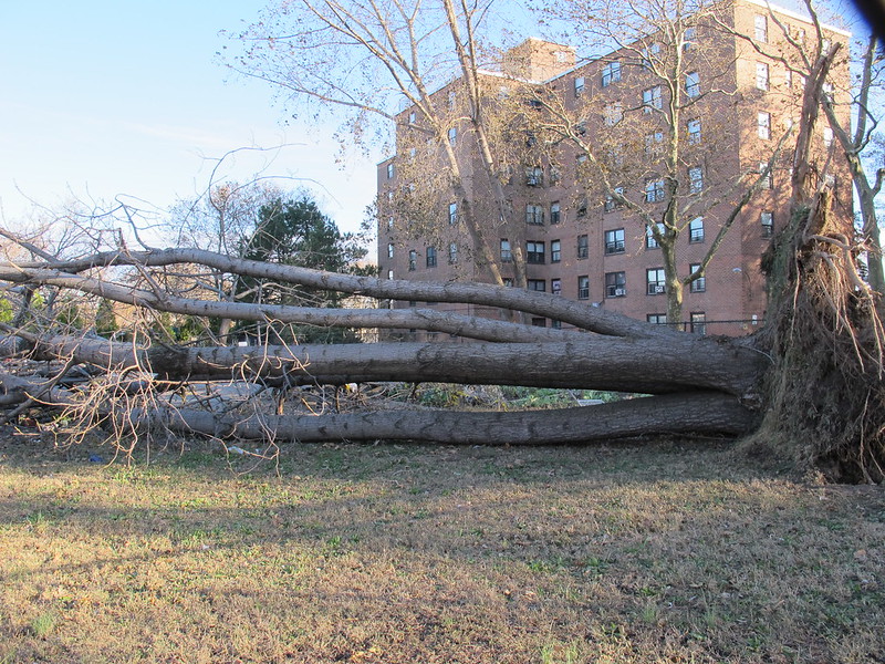 aftermath superstorm oped