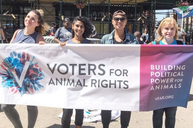 animal rights histor