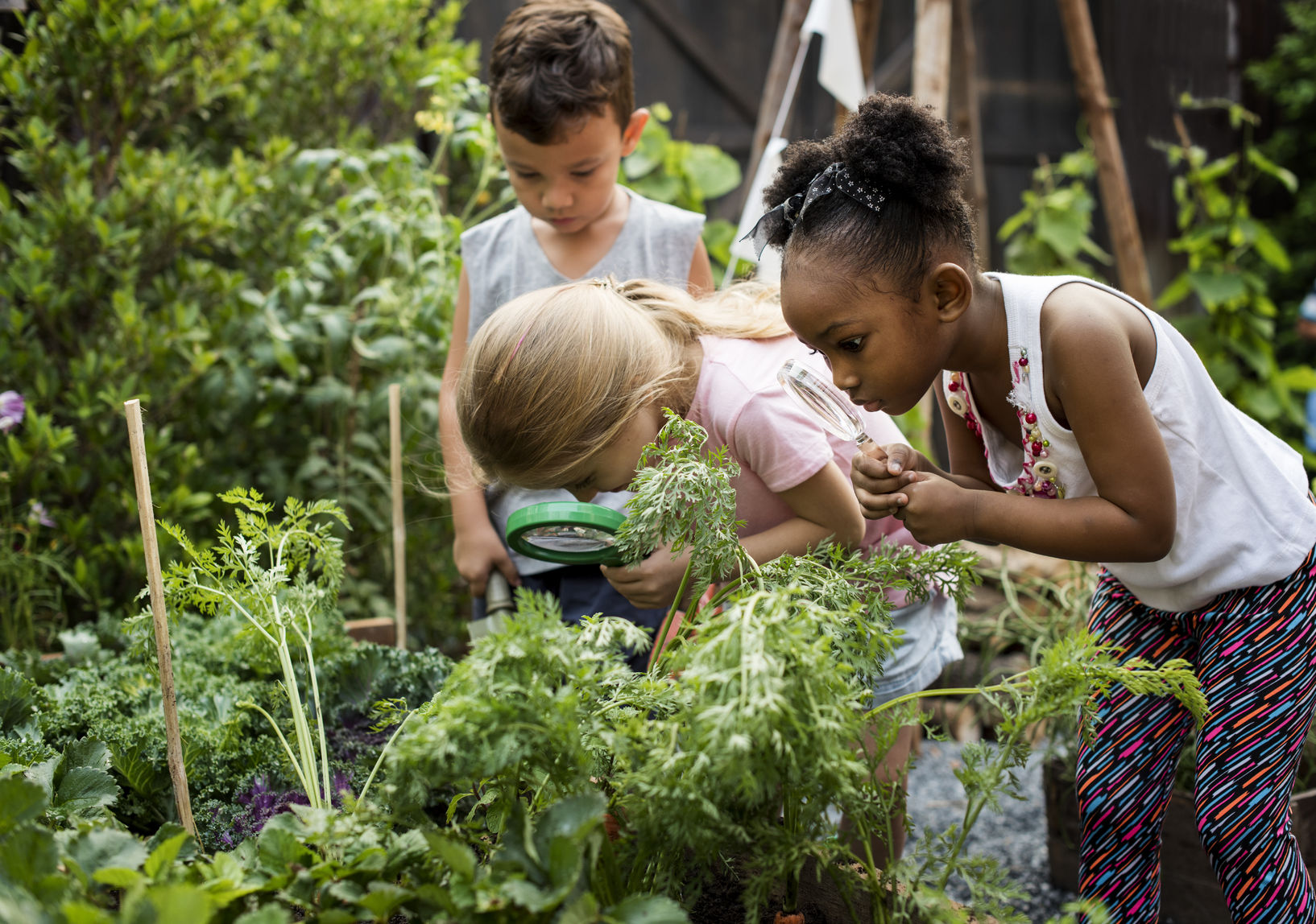 Giving Our Children Tools to Eat and Live Healthily