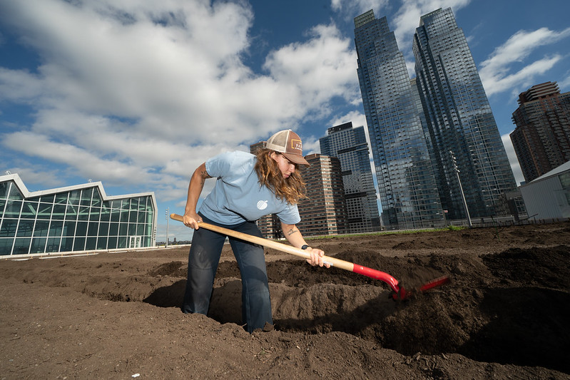 renewable energy nyc dig