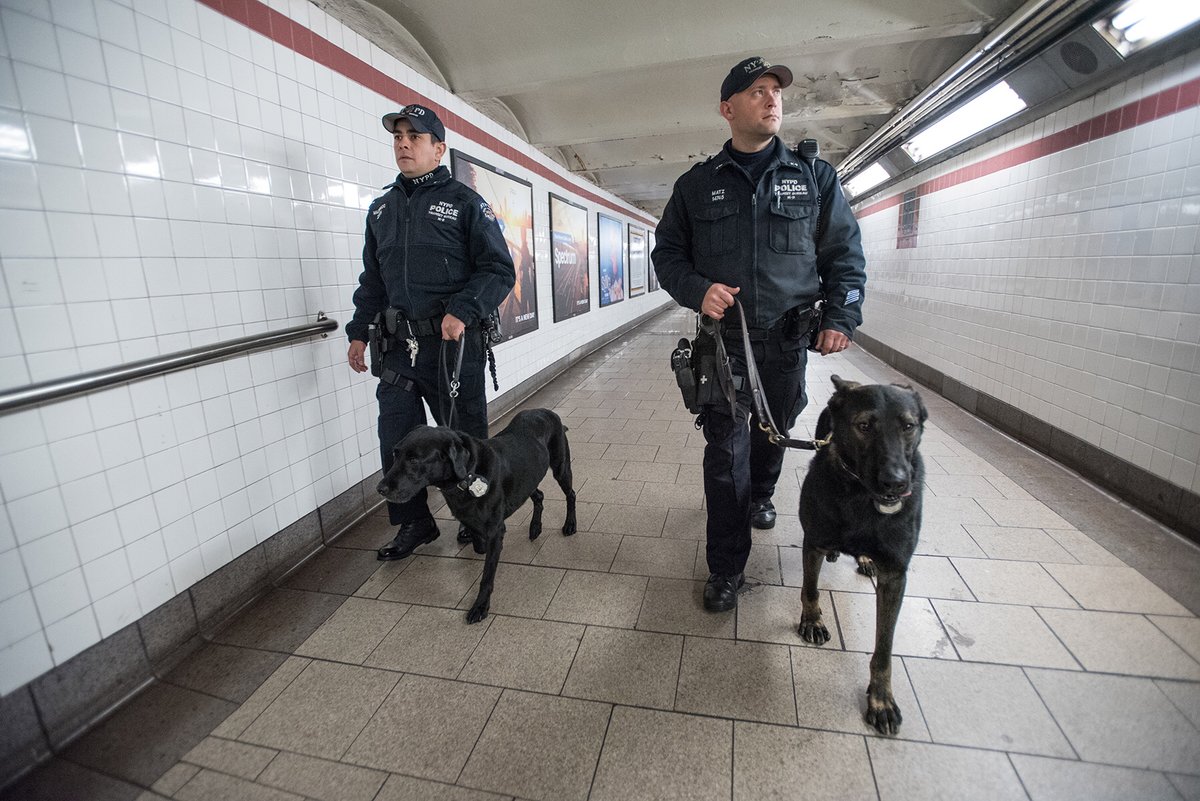 nypd cops dogs subway