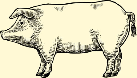 pork lg