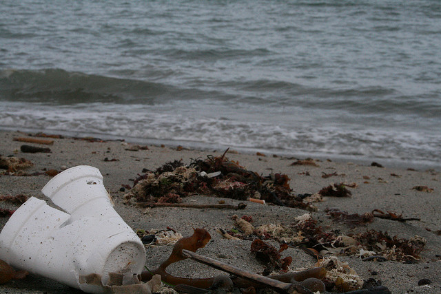 styrofoam-cup-beach